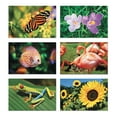 thumbnail image 3 of Aquapaintings™ Easy Pack, 3 of 8