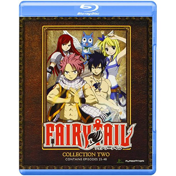 Fairy Tail: Collection Two + DVD) - Walmart.com