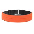 thumbnail image 1 of Fitness Running Bag Adjustable Fits Phone , Keys Fits Men And Women Run, Jog, Cycle, Hiking, 1 of 4