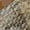 Khaki Plaid Multi, variant on Women's Hazel Khaki Plaid Multi Pump 6.5M