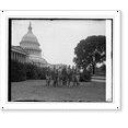 thumbnail image 2 of Historic Framed Print, Tree surgeons at Capitol, [8/20/25], 17-7/8" x 21-7/8", 2 of 9