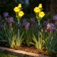 thumbnail image 4 of CaiYueKe Solar Powered Rose Garden Lights Outdoor Waterproof LED Decorative Lawn Stake Lights for Yard Pathway Patio Landscape Decor, 4 of 7