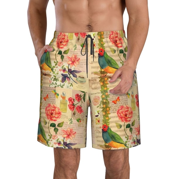Fotbe Vintage Bird Trajes de Baño Estampados para Hombre, Shorts de Verano de Secado Rápido, Ropa de Playa, Bañadores-3X-Large
