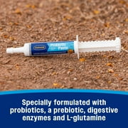 Farnam Probiotic Paste for Horses 30 grams