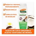 thumbnail image 4 of Acondicionador Palmer's Moisture boost reparador con aceite de coco y vitamina E 400 ml, 4 of 4