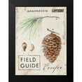 thumbnail image 2 of Staehling, Angela 14x18 Black Modern Framed Museum Art Print Titled - Natures Pinecone, 2 of 5