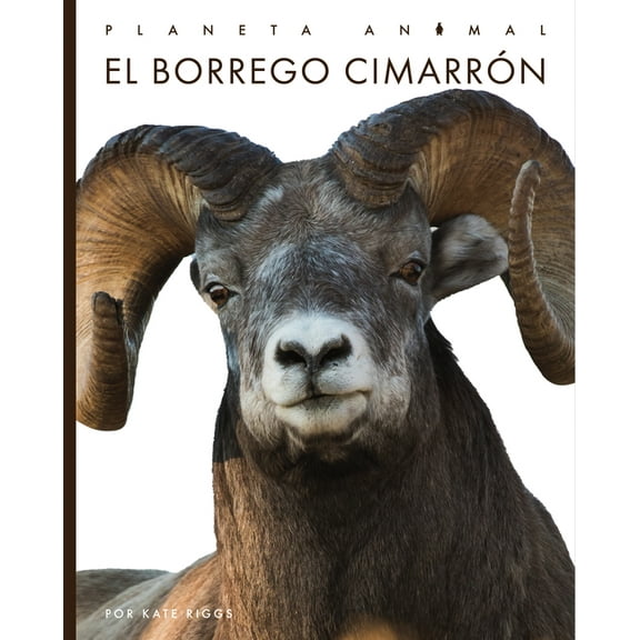 Planeta Animal El Borrego Cimarrón, (Paperback)