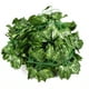 thumbnail image 1 of Simulación de hoja verde, hoja de ratán, decoración de plantas, flor, vid, aire acondicionado, tubería de agua, 1 of 8