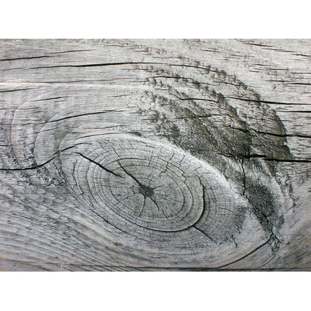 LAMINATED POSTER Board Knothole Wood Grain Wooden Structure Poster Print 24 x 36