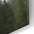 thumbnail image 3 of Epic Art 'Schwabachers Landing Trees' by Lori Deiter Acrylic Glass Wall Art, 24"x12", 3 of 8