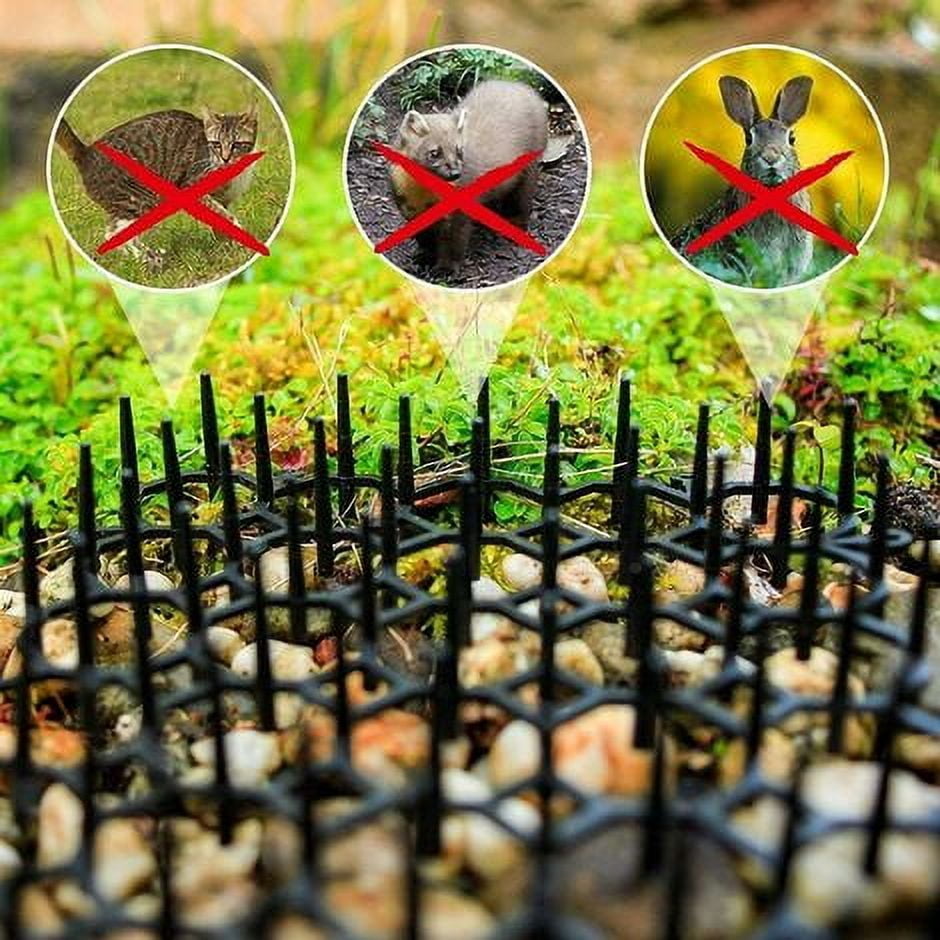 Set of 5 anti pest grids   Anti pigeon, bird, cat spike   Natural and ecological repellent for planters and vegetable gardens   Immediate protection   Cuttable and modular