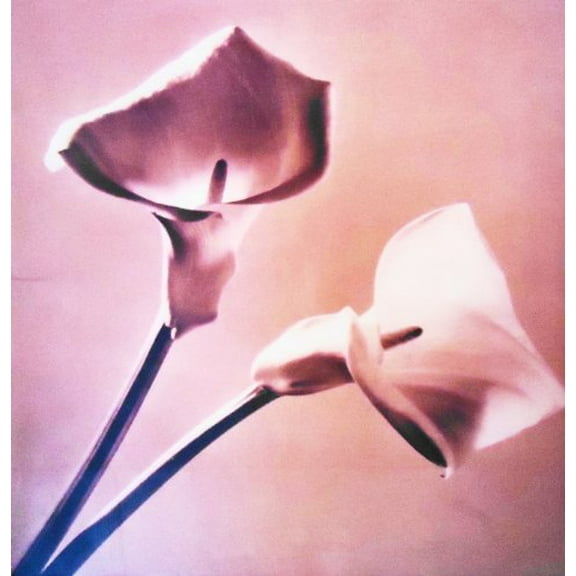 Pre-Owned Pistils (Hardcover) 0679408053 9780679408055