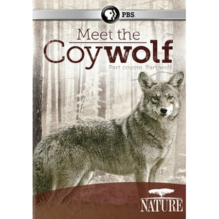 Nature: Meet the Coywolf (DVD) (Best Nature Documentaries For Kids)