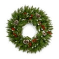 thumbnail image 1 of National Tree Company 24 Inch Artificial Frosted Berry Holiday Wreath, 1 of 5