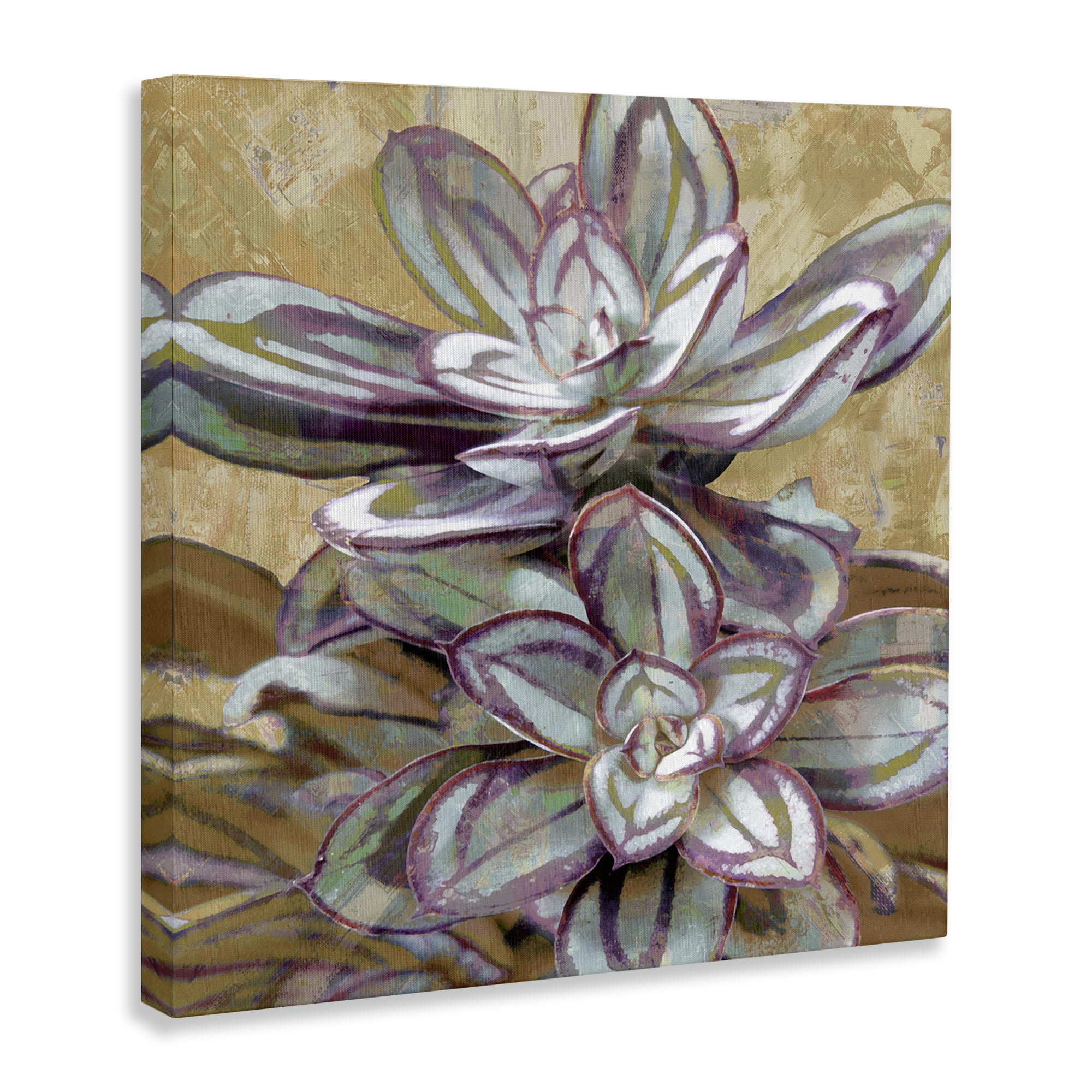 Stupell Industries Rustic Desert Succulents Plants & Flowers Painting Wrapped Canvas Art Print Wall Art, 36 x 36
