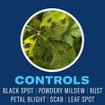 thumbnail image 3 of BioAdvanced All-in-One Rose & Flower Plant, Ready-to-Spray, 32 fl oz Bottle, 3 of 6