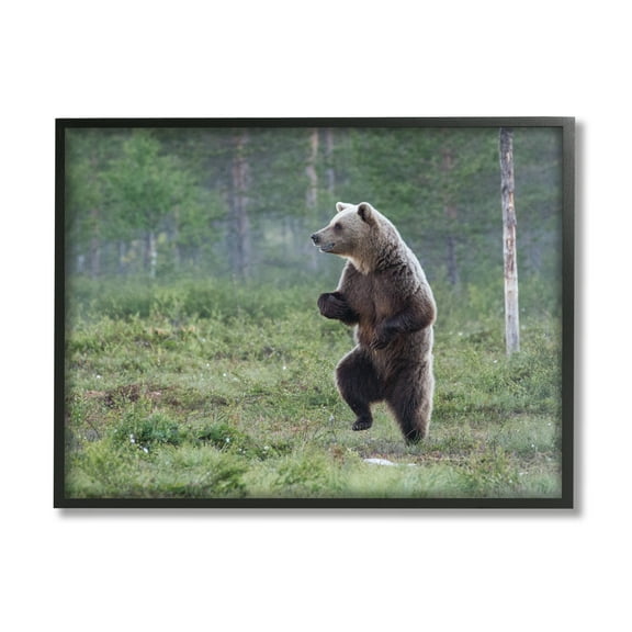 Stupell Industries Dancing Bear in Forest Animals & Insects Photography Black Framed Art Print Wall Art, 14 x 11