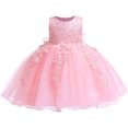thumbnail image 1 of Vestido Formal para niñas pequeñas, lazo, cumpleaños, boda, fiesta, vestido de encaje de flores Xemadio CJWUS-4313, 1 of 6