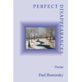 thumbnail image 1 of Pre-Owned Perfect Disappearances (Paperback) 1639807926 9781639807925, 1 of 2
