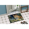 thumbnail image 4 of Leopard Doormat 27 in x 18 in, 4 of 5
