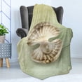 thumbnail image 4 of Pearls Soft Flannel Fleece Throw Blanket, Pearl Within Open Shellfish Marine Life Creature Vintage Texture Image, Cozy Plush for Indoor and Outdoor Use, 60" x 80", Green Beige, by Ambesonne, 4 of 5