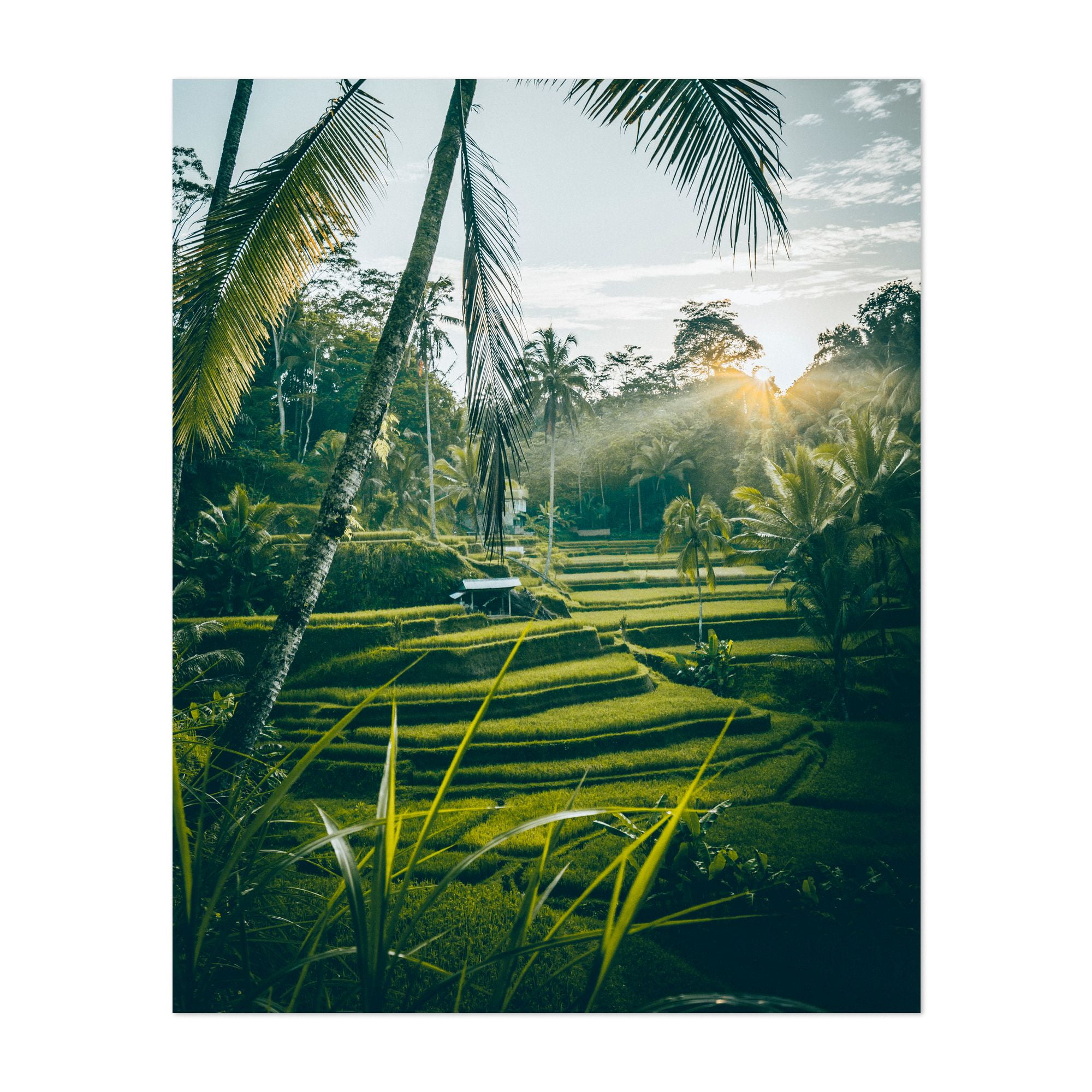 Bali Tegalalang Indonesia Nature Places 24" x 36" Unframed Wall Art