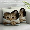 thumbnail image 3 of Shiartex  Super Soft Short Plush Square Decorative Throw Pillow Case Sofa Waist Cushion Cover Multi-Size, 3 of 5