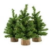 AuldHome Mini Christmas Trees (3-Pack, 8-Inch); Canadian Pine Greenery Tabletop Holiday Decor