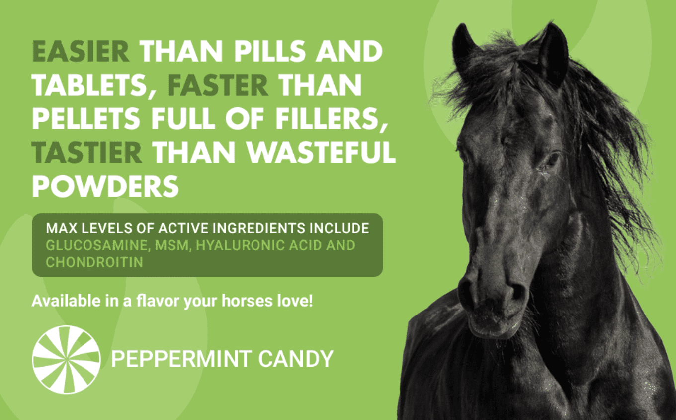 Liquid-Vet Hock & Joint Support Supplement for Horses, Max Strength Glucosamine, MSM, Hyaluronic Acid, Liquid, Peppermint Flavor