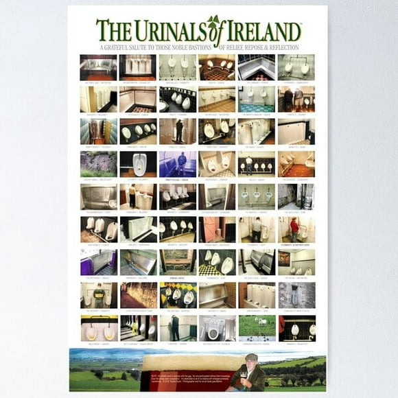 A NEW The Urinals of Ireland Poster Poster