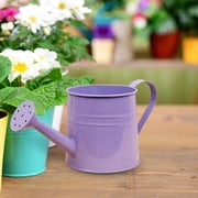 Qiopertar Mini Indoor Watering Can with Handle, 12 oz Compact Houseplant Watering Can, Slim Spout Garden Waterer for Precise Small Plants