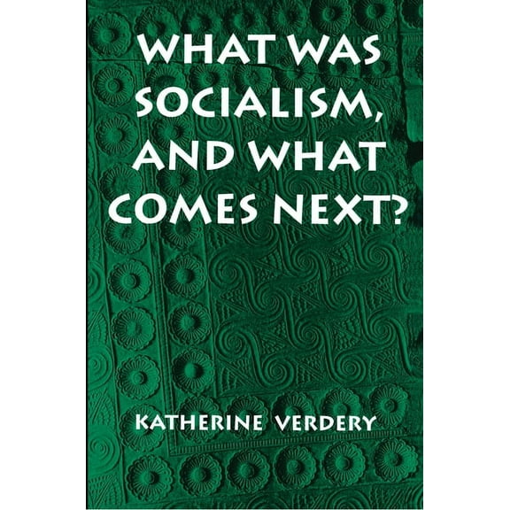 Princeton Studies in Culture/Power/Histo What Was Socialism, and What Comes Next?, (Paperback)