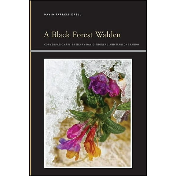 Suny Series, Insinuations: Philosophy, P A Black Forest Walden: Conversations with Henry David Thoreau and Marlonbrando, (Paperback)