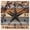 Grey, variant on Burnt Orange Texas Star Wooden Wall Clock Silent Non Ticking, Retro Country Star Farmhouse Wooden Square Wall Clocks Battery Operated, Decor Clock for Home Office, Living Room, Kitchen, 10 Inch