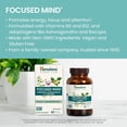 thumbnail image 3 of Himalaya Focused Mind Supplement, with Ashwagandha, Bacopa & L-Theanine for Attention, Focus and Energy Support, 60 Vegan Capsules, Gluten Free, 1 Month Supply, 3 of 7