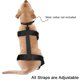 thumbnail image 4 of Calzado con tirantes para mascotas, botines para perros con tirantes |Botas antideslizantes de apoyo para perros, calzado ajustable anticaída para perros, ,M, 4 of 9