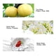 thumbnail image 2 of Spray de perfume para mujer Sailing fragancia dulce portátil 50ml, 2 of 5