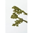 thumbnail image 2 of 25" Faux Moss Twig Branch Stem, 2 of 6