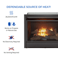 thumbnail image 6 of Duluth Forge Dual Fuel Vent less Gas Fireplace Insert - 26,000 BTU, T-Stat Control - Model# FDF300T, 6 of 14