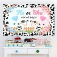 thumbnail image 3 of Holy Cow Gender Reveal Backdrop He or She What Will Baby Be Photography Background Boho Pink and Blue Floral Party Decorations, 3 of 6
