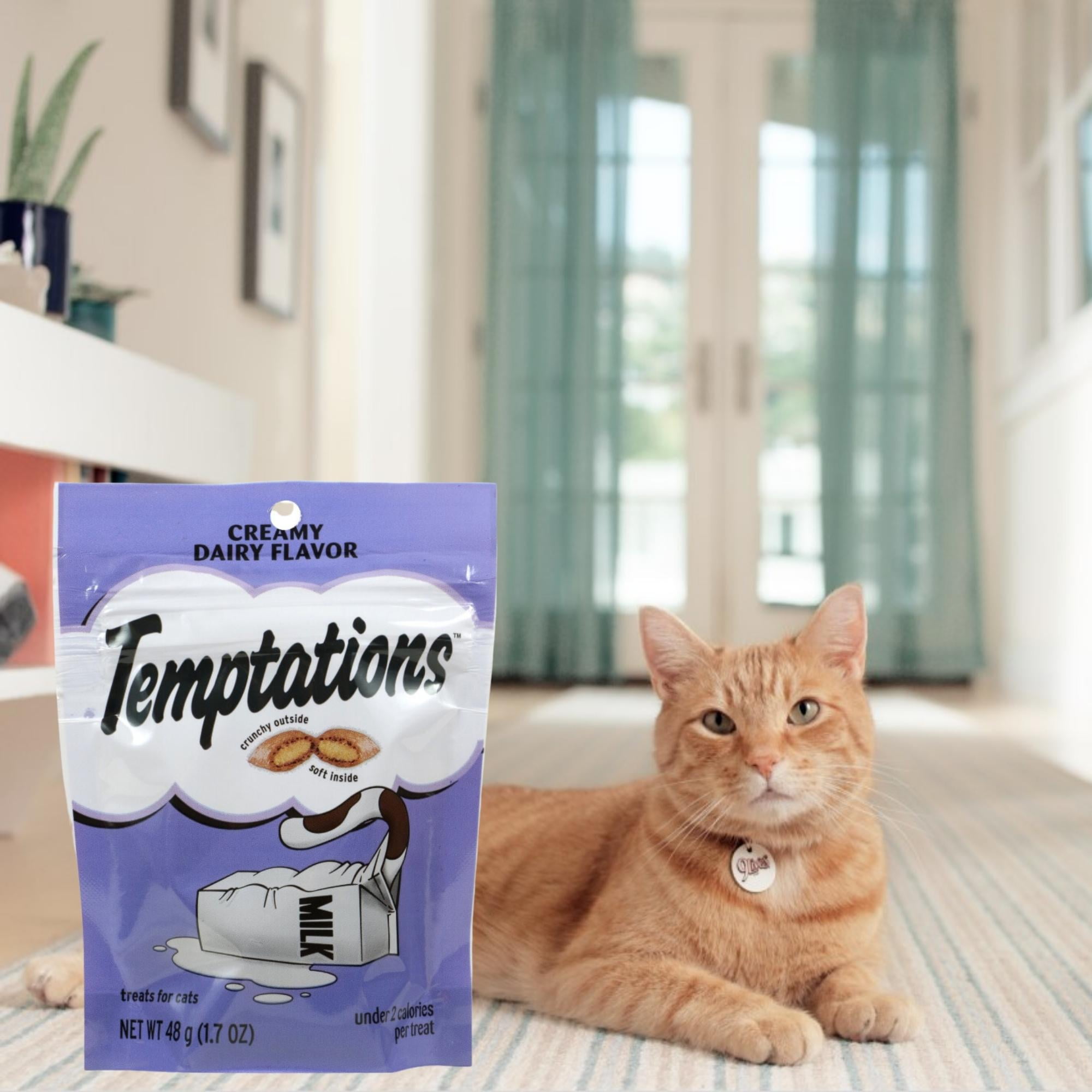 Temptations Creamy Dairy Flavor Cat Treats, 1.7oz. Bags Crunchy Soft &  Creamy Texture 100% Nutritionally Complete & Balanced for Adult Cat  Treating Rewarding Convenient Portable Animal Snack Pack of 4 