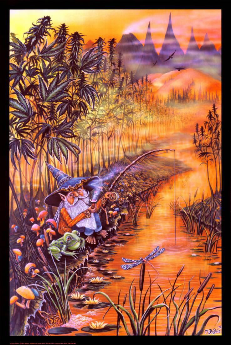 Gnome Fishing Poster - 24x36 