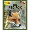 thumbnail image 1 of Créature Cérébrale : le Renard Roux, 1 of 5