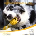 thumbnail image 3 of Juguetes Interactivos PETGEEK Perros Mediano USB Recargable Duradero, 3 of 7