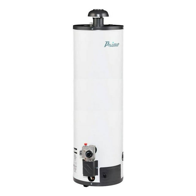 Calentador Boiler De Gas Lp Depósito Iusa Primo 80lts