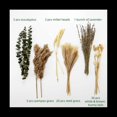 thumbnail image 5 of 60 Piezas de Flores Secas Pampas Decorativas de Hierba de CañA DIY Arreglo Floral para la DecoracióN de la Oficina en el Hogar, Centros de Mesa de Boda, 5 of 5