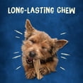 thumbnail image 3 of Purina Busy Bone Mini Dog Chew 12-Count 21 oz Bag (Pack of 12), 3 of 9