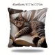 thumbnail image 3 of Cute Sleeping Cats And Book Pillowcase Short Pile Living Room Sofa Pillowcase Soft Cushion Cover, 3 of 6