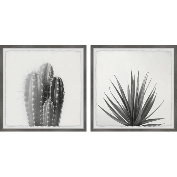 Marmont Hill Black and White Cacti Diptych, 12" x 24"