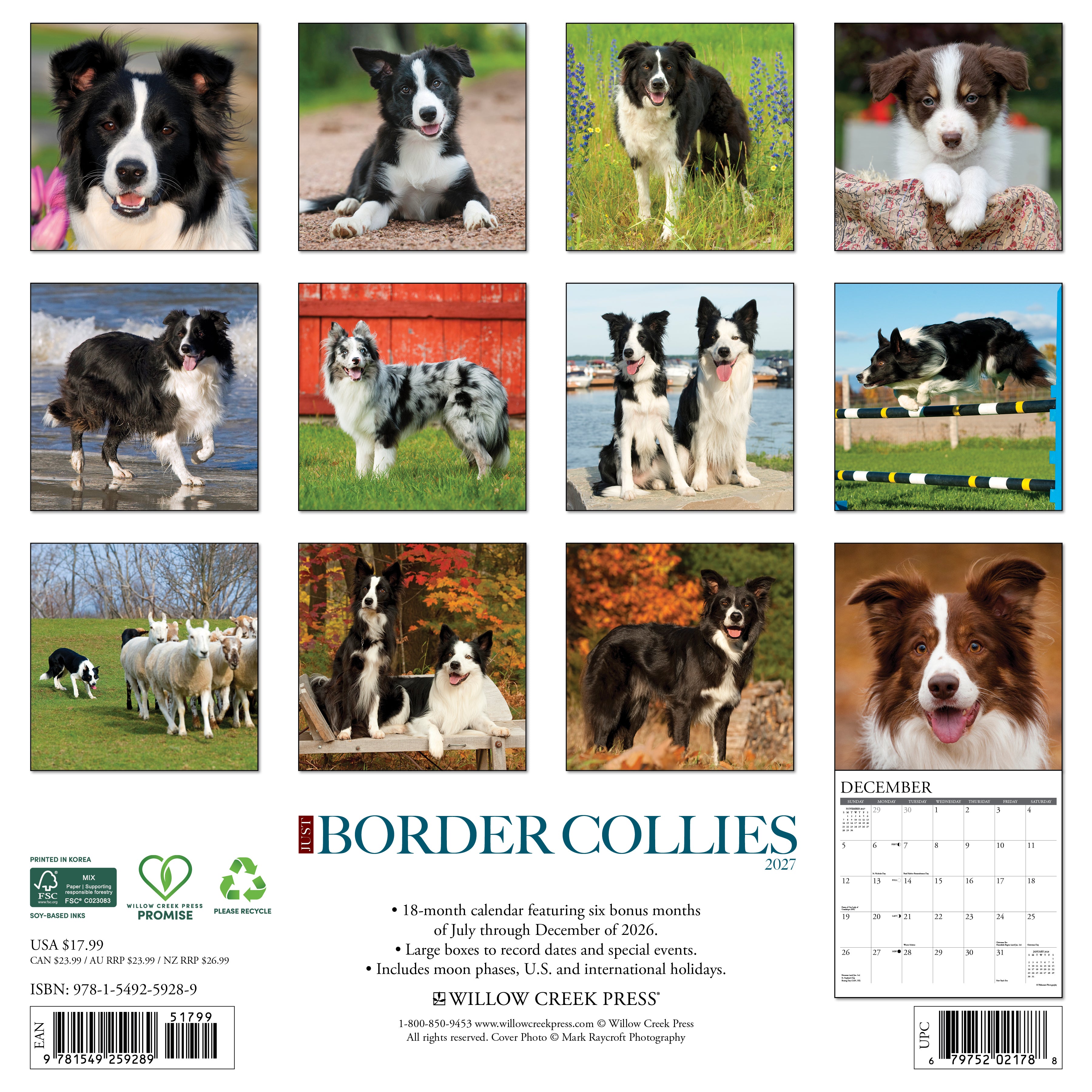 Willow Creek Press, Border Collies 2027 Wall Calendar